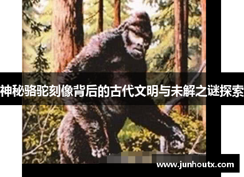 神秘骆驼刻像背后的古代文明与未解之谜探索