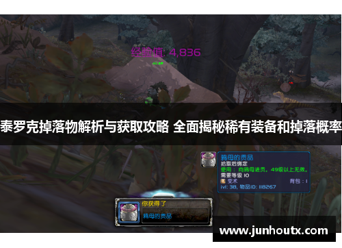 泰罗克掉落物解析与获取攻略 全面揭秘稀有装备和掉落概率