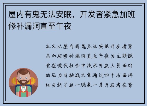 屋内有鬼无法安眠，开发者紧急加班修补漏洞直至午夜